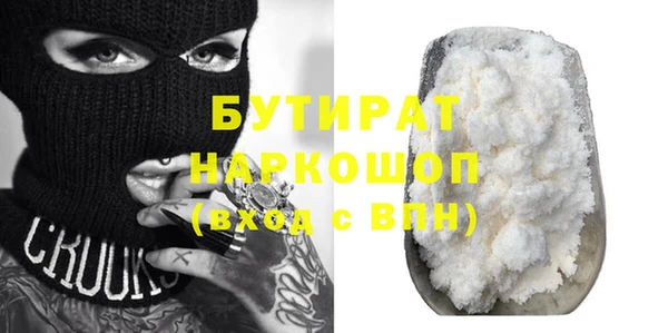 индика Инта