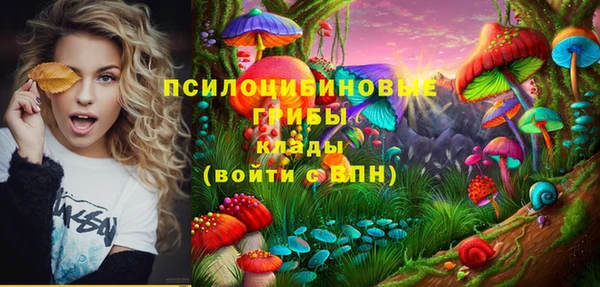 MESCALINE Инсар