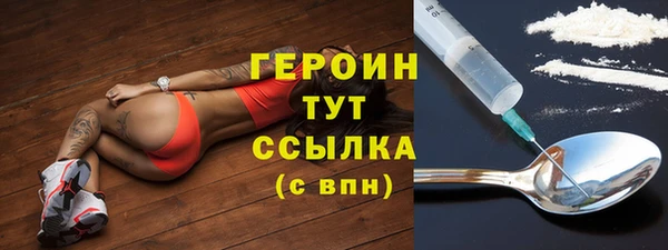 индика Инта