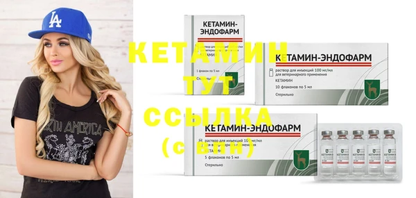 apvp Иннополис