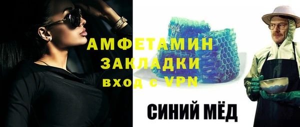 индика Инта