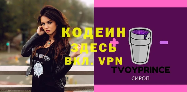 индика Инта