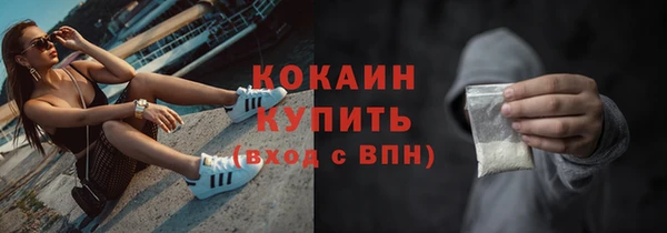 apvp Иннополис