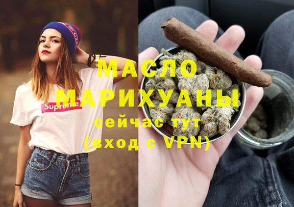 индика Инта