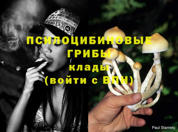 индика Инта