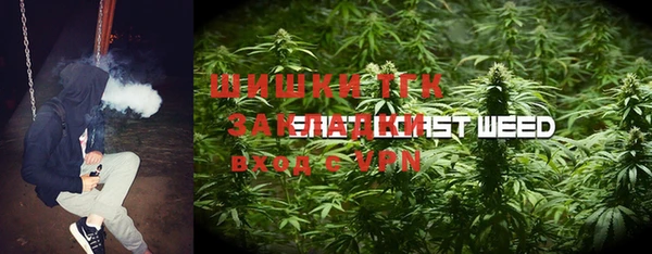 apvp Иннополис