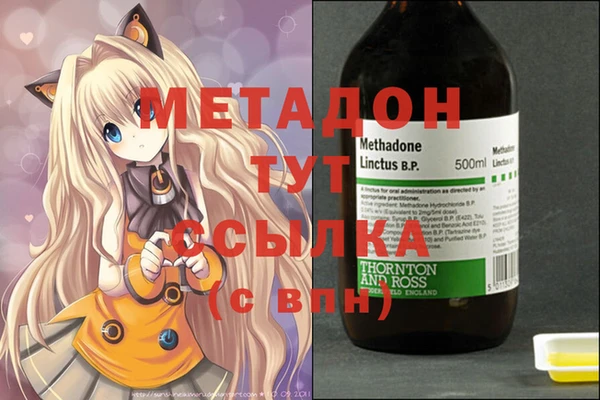 индика Инта