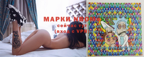 индика Инта