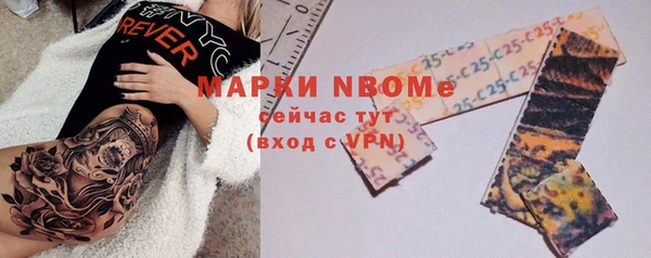 индика Инта