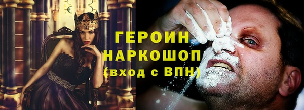 индика Инта