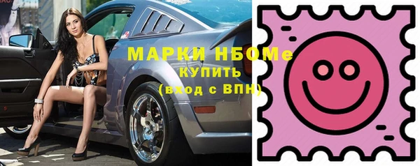 apvp Иннополис